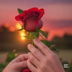 درپسې امي کتل 