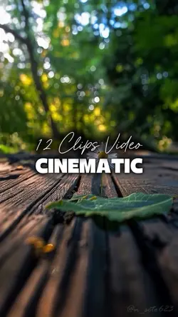 12 Videos Cinematic 