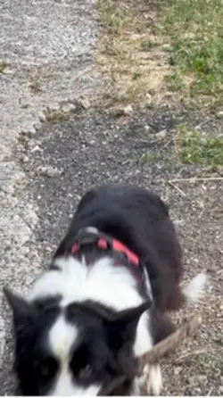 #passeggiata 