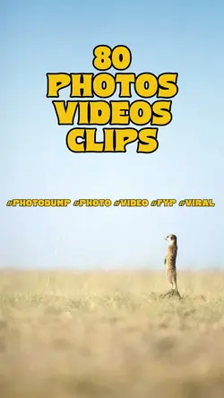 80 photos videos
