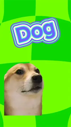 Dog 