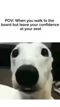 scare dog