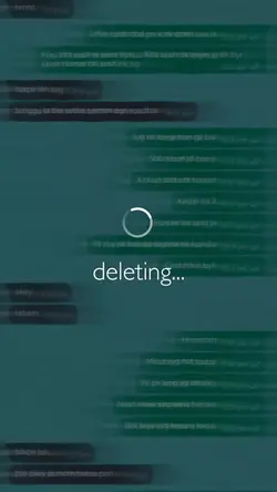 DELETE CHAT 