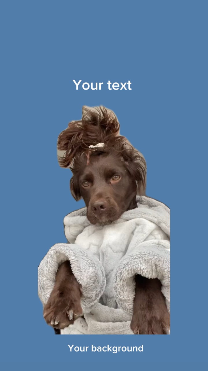 capcut template cover