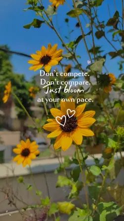 Just bloom
