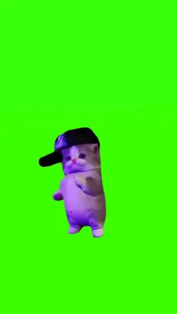 cat dancing Brazil