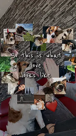 Love..