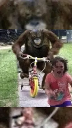 monkey victory