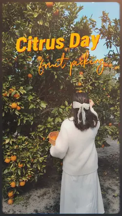 Citrus Day🍊