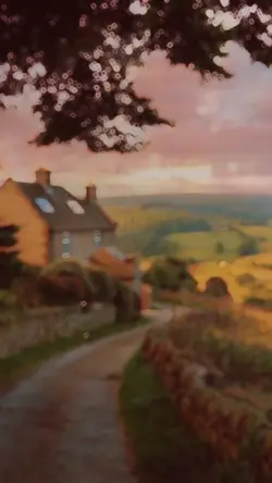 Village Vibes