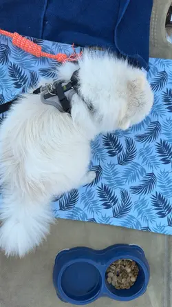 Tiktok❤️