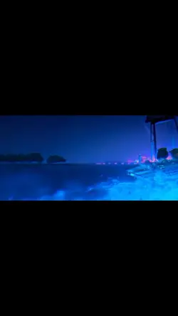 Disney *