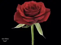 flower growingπΊ