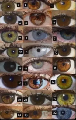 Eyes