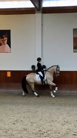 THIS HORSE !! 🤩❤️‍🔥🫶🏼🤯