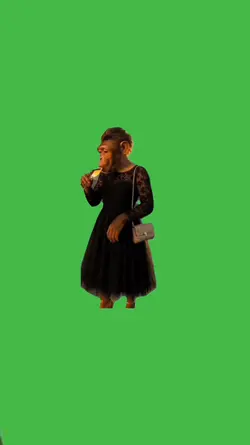Monkey dringking