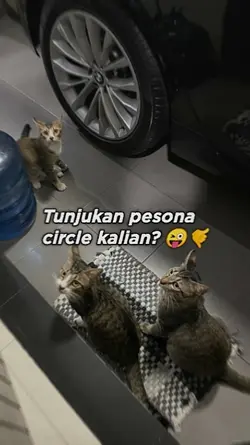 TunjukanPesonaCircle