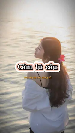 Tình đẹp là tình 