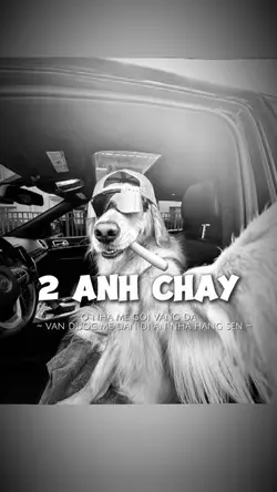 2 ẢNH CHÁY ÁC