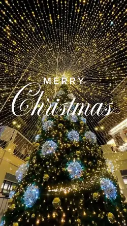 merry christmas
