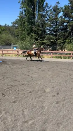 Day 4