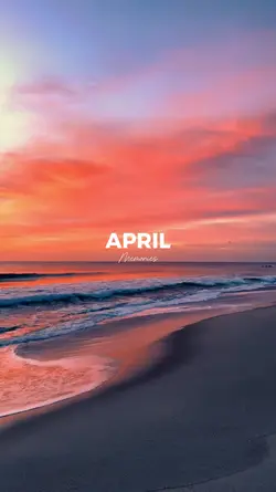 APRIL DUMB 17 VIDEO
