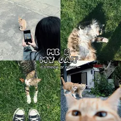 me & my cat
