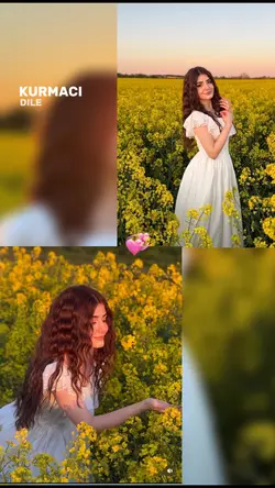 viral şablon 