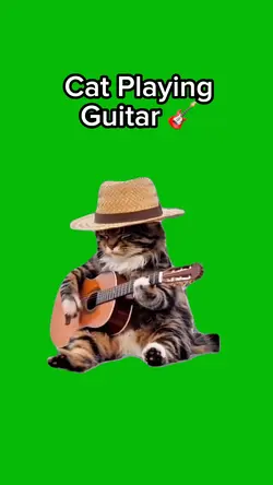 Cat Playing Guitar 