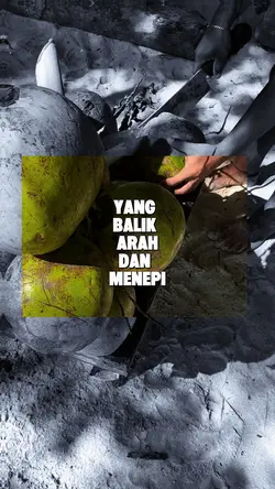 lagu Timur