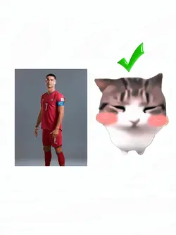 Cat trend dam dididi