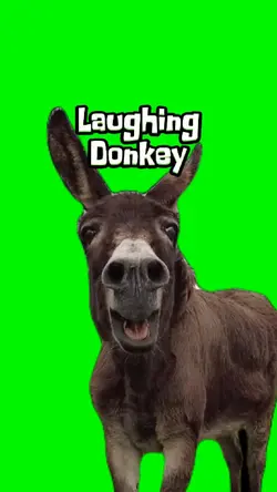 Donkey