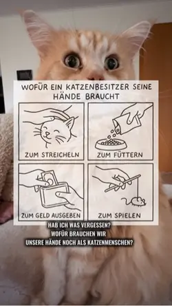 Katzenmama 