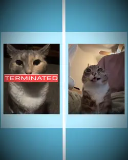 TERMINATED EDIT