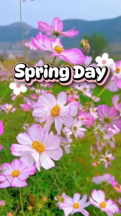 Spring Day