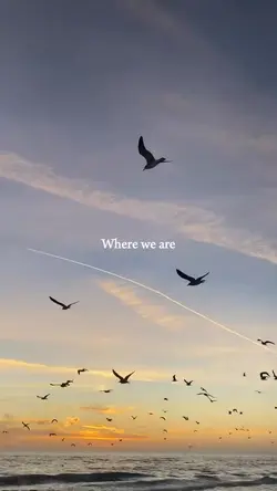 Where we are