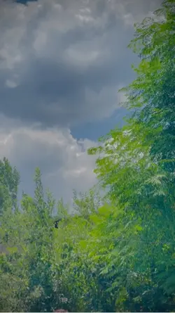 Slow mo 