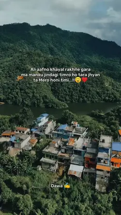 hai Maya 