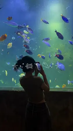 Aquarium Vlog