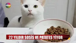 Aynı Yemek