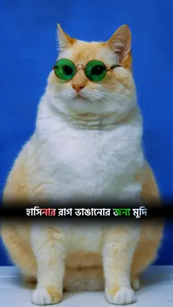 তুমি কি করলে প্রিয় 
