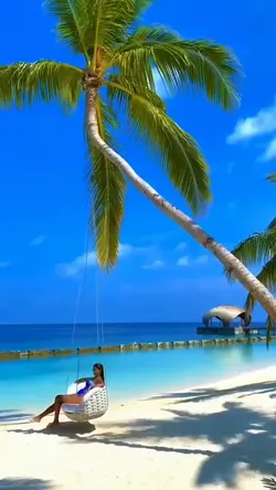 Aesthetic 