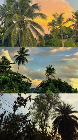 3 photo