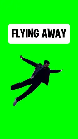 FLYING AWAY