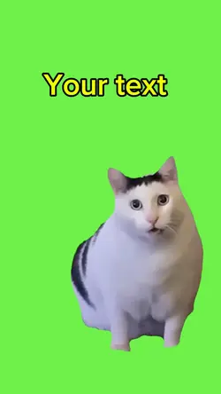 What?
