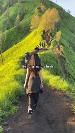 Nature Vibes 