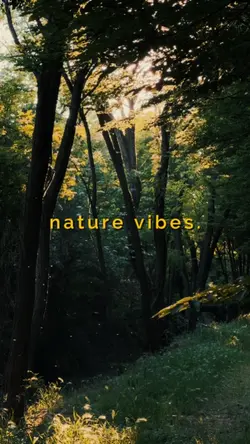 nature vibes cinema