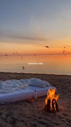 summer vibe 
