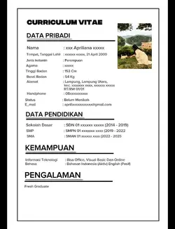 curriculum vitae 