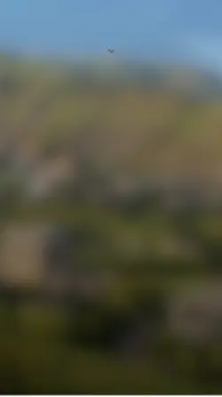 توشيح